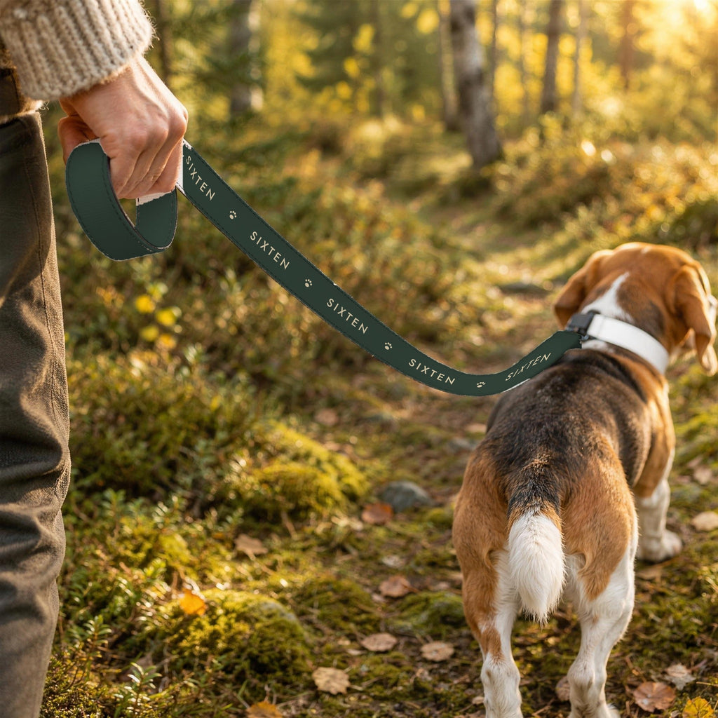 Personligt koppel i Skog med namnet Sixten på promenad i skogen