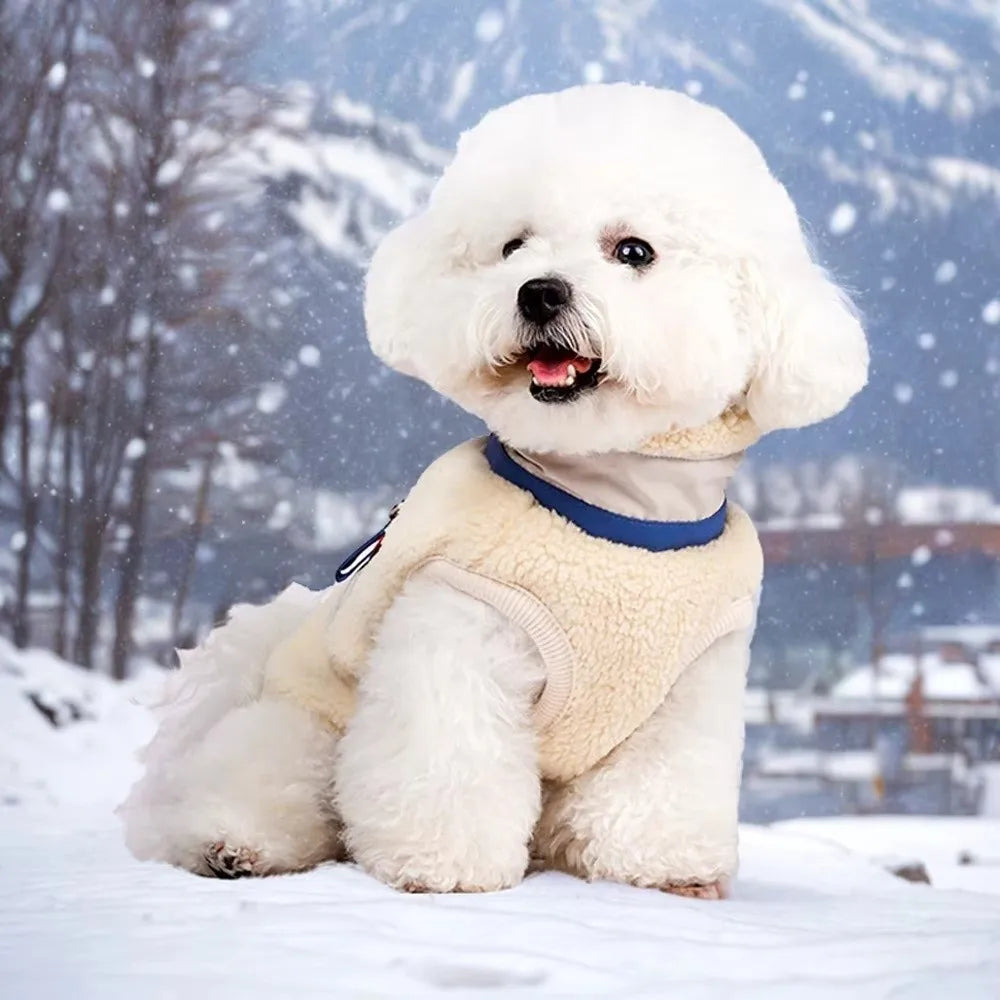 Liten vit hund i teddyväst i havre, framifrån