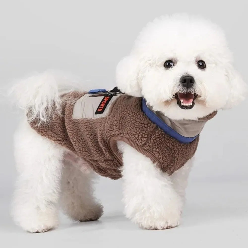 Liten vit hund i teddyväst i valnöt