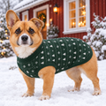 Corgi i snön framför röd stuga i stickad jultröja Granskog
