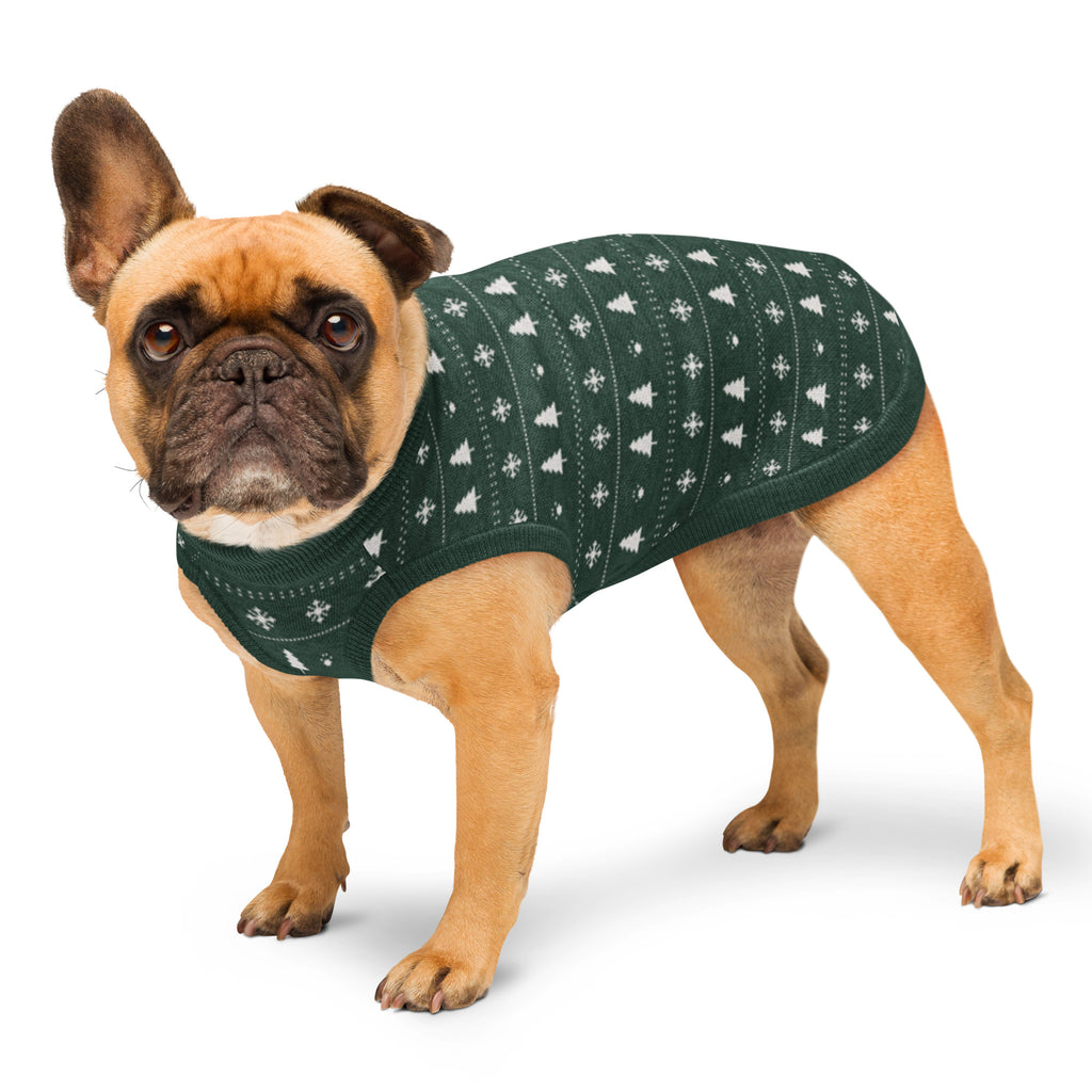 Fransk bulldog i stickad jultröja i Granskog med snöflingor och granar