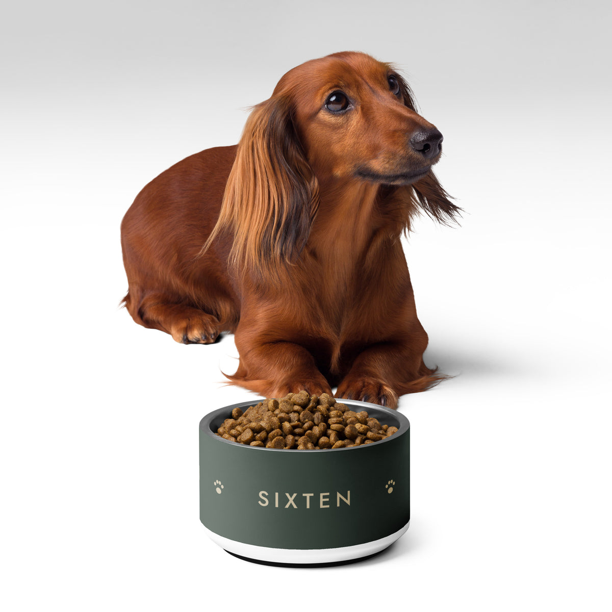 Tax som sitter bakom sin matskål med namn