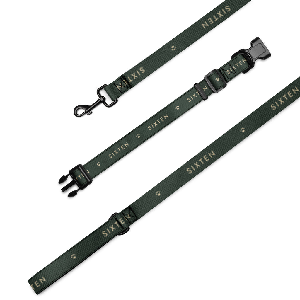 Promenadsetets delar: halsband och koppel i Skog