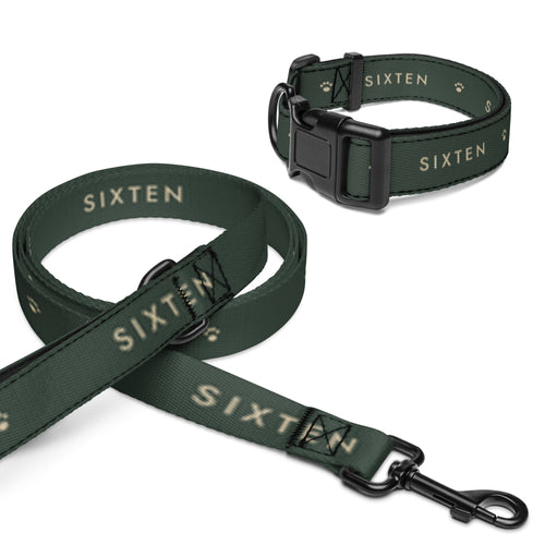 Promenadset i Skog: halsband och koppel med namnet Sixten