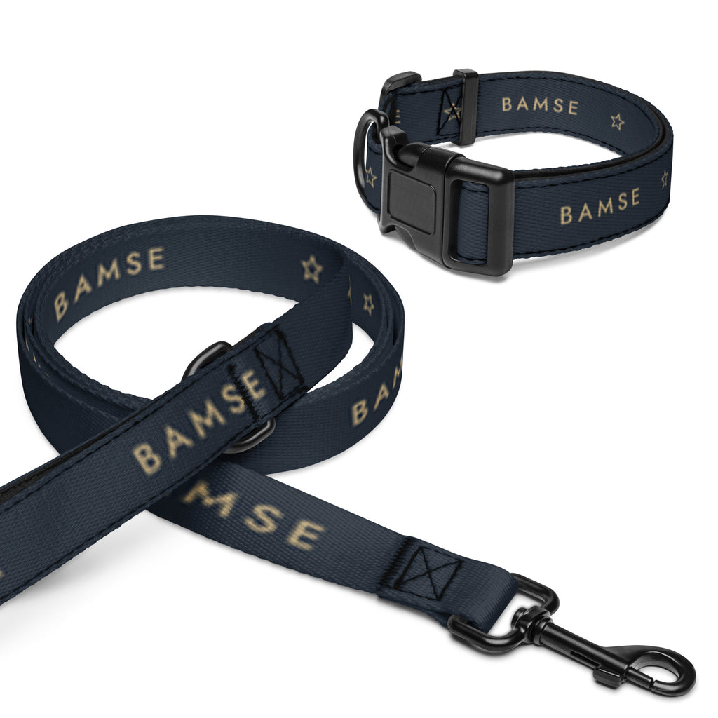 Promenadset i Natt: halsband och koppel med namnet Bamse