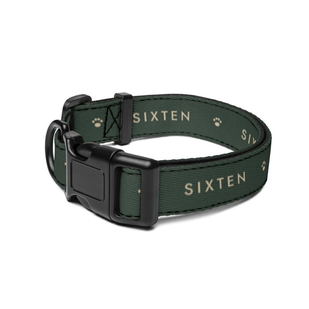 Personligt halsband i Skog med namnet Sixten och tassar