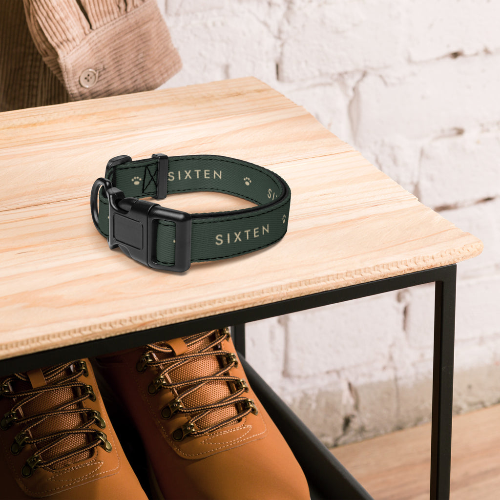 Halsband i Skog med namnet Sixten på en bänk i hallen