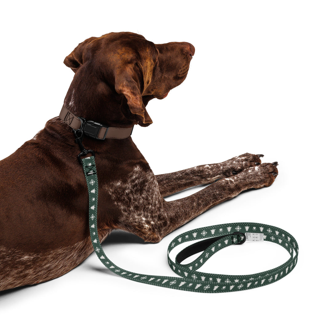 Hund som ligger med julkopplet i Granskog